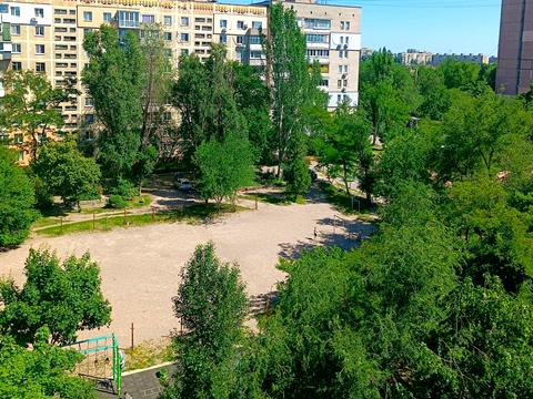 квартира по адресу Янтарная ул., 81