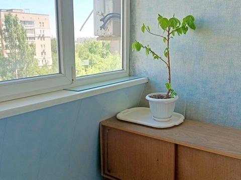 квартира по адресу Янтарная ул., 81