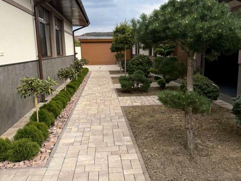 дом по адресу Виноградов, Шевченка ул.