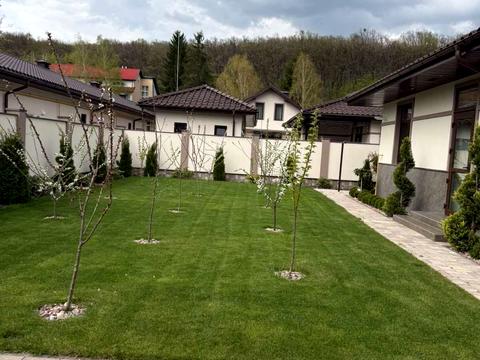 дом по адресу Виноградов, Шевченка ул.