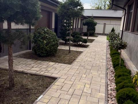 дом по адресу Виноградов, Шевченка ул.