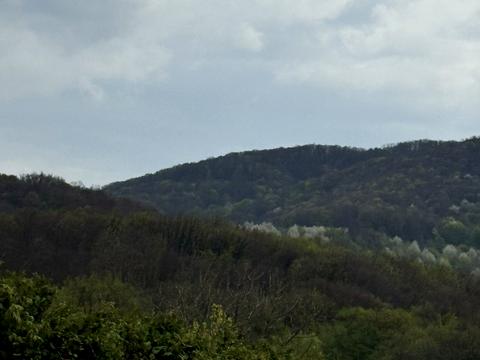 дом по адресу Виноградов, Шевченка ул.