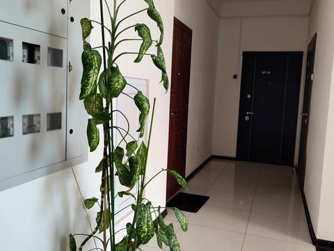 квартира по адресу Шевченко ул., (Будинок 2 (вул. Шевченка, 55б))