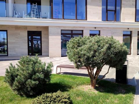 комерційна за адресою Паркова вул., 11