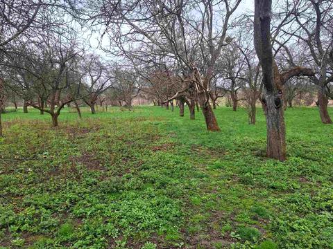 будинок за адресою Стельмаха, 77