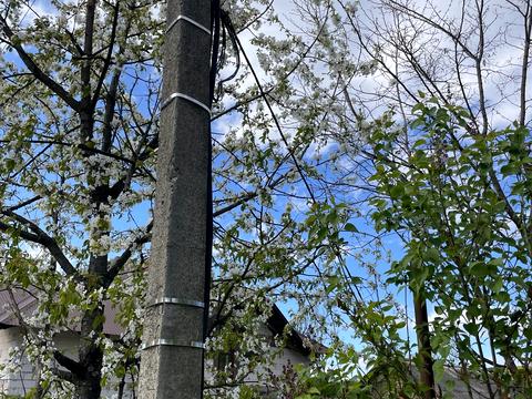 участок по адресу Радісна