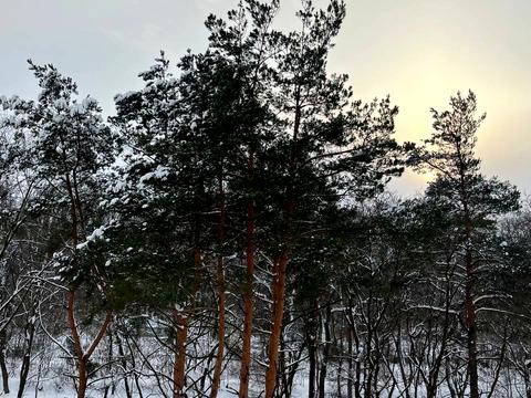 квартира за адресою Івана Величковського вул., 13