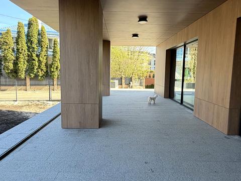 квартира за адресою Ломаківська вул. (Мічуріна), 55