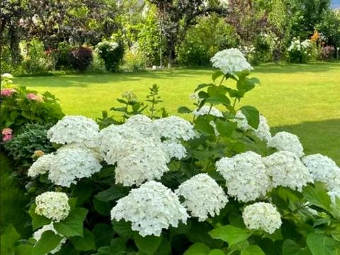 будинок за адресою с. Безуглівка, степова