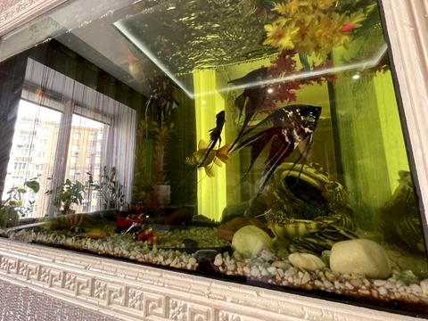квартира за адресою Чорновола вул., 29
