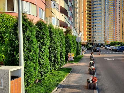 квартира за адресою Сім'ї Кульженків вул. (Петра Дегтяренка), 35