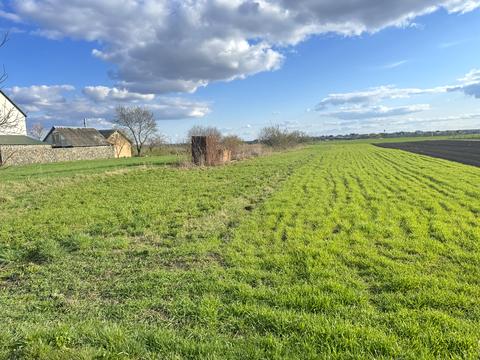 участок по адресу Чеська