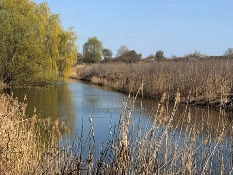 дом по адресу Озерна, 36