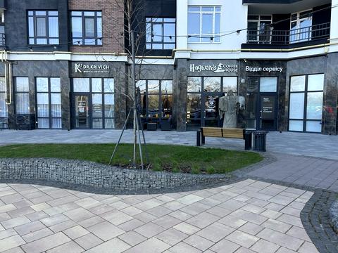коммерческая по адресу Ольги Кобилянської ул. (Достоевского), 1-В/10