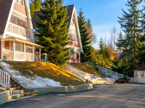 комерційна за адресою урочище Стаїще, 145