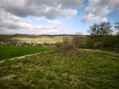 ділянка за адресою Травнева