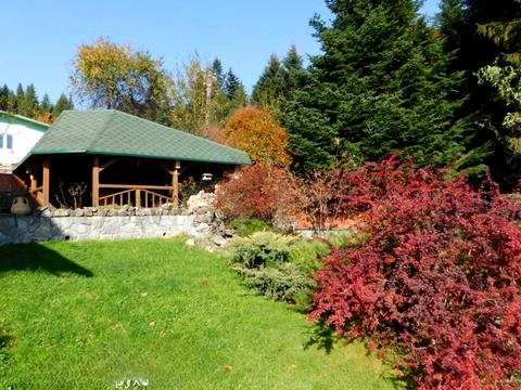 комерційна за адресою Бориславська вул., 31В