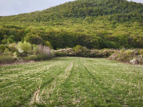 участок по адресу Вільхова