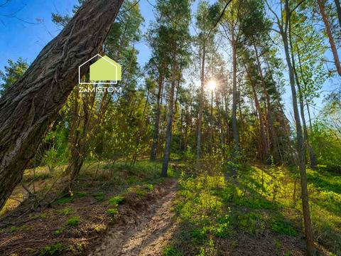 ділянка за адресою Шевченка, 86