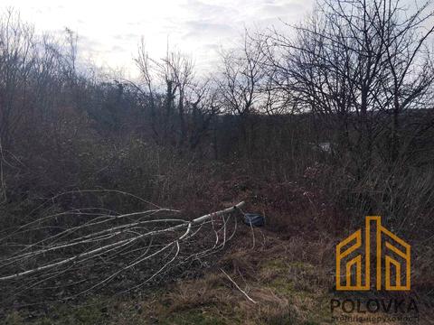 ділянка за адресою Бузкова