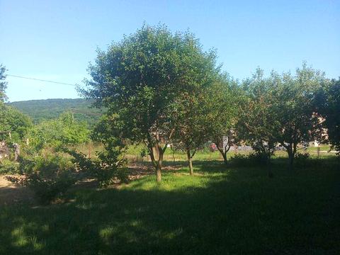 ділянка за адресою 