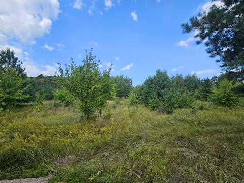 ділянка за адресою Березова, 25