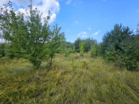 ділянка за адресою Березова, 25