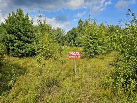 ділянка за адресою Березова, 25