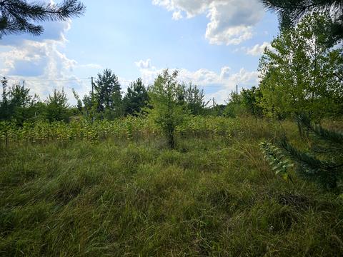 ділянка за адресою Березова, 25