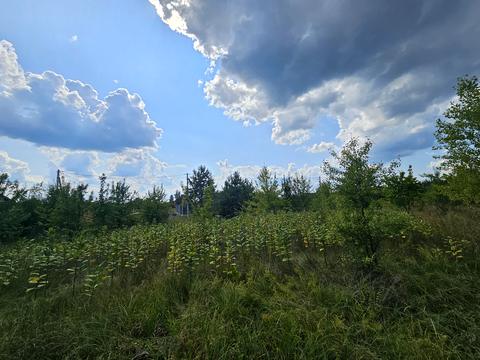 ділянка за адресою Березова, 25