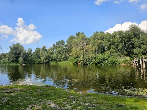 ділянка за адресою Березова, 25