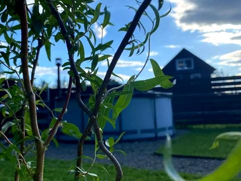 будинок за адресою с. Микитинці, Світла вул.