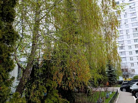 квартира за адресою Лісківська вул., 32/51