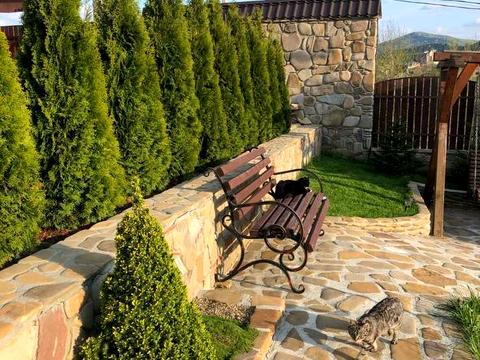 комерційна за адресою Івана Котляревського вул., 23 а