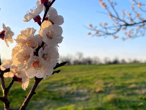 ділянка за адресою Набережна