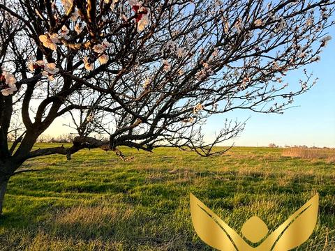 участок по адресу Набережна