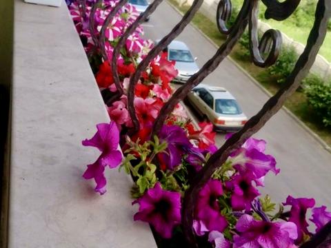 квартира за адресою Перемоги просп., 53б