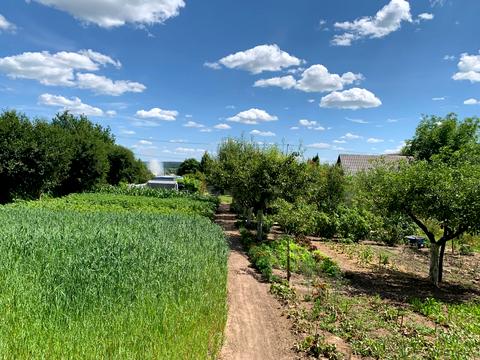 участок по адресу Підлісна