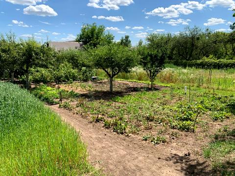 участок по адресу Підлісна