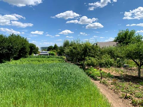 участок по адресу Підлісна