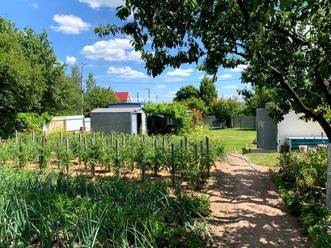 участок по адресу Підлісна