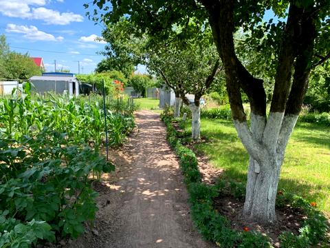 участок по адресу Підлісна