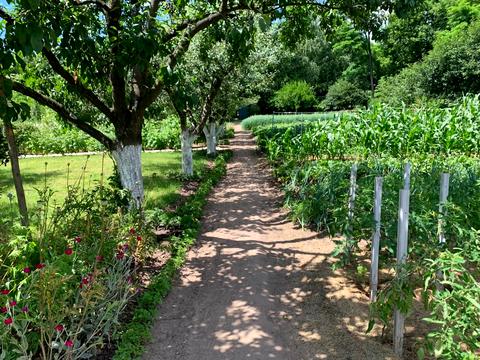 участок по адресу Підлісна