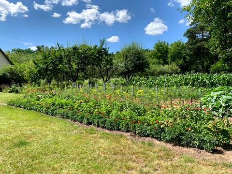 участок по адресу Підлісна