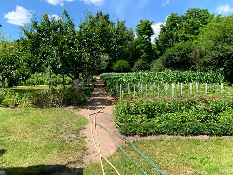 участок по адресу Підлісна