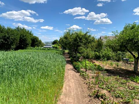 участок по адресу Підлісна