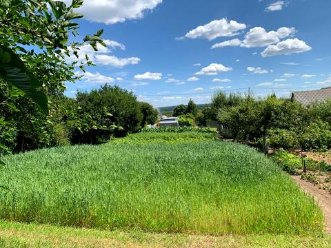участок по адресу Підлісна