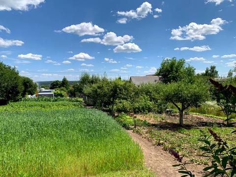 участок по адресу Підлісна