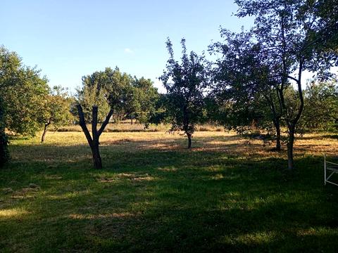 ділянка за адресою Богдана Хмельницького вул., 44