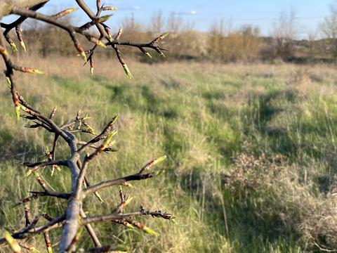 участок по адресу 